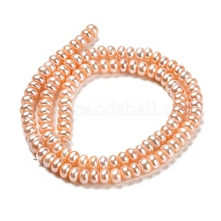 Natural Cultured Freshwater Pearl Beads Strands&nbsp;PEAR-J007-22