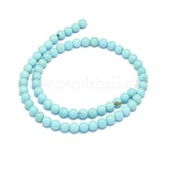 Natural Magnesite Beads Strands&nbsp;G-F604-04-6mm