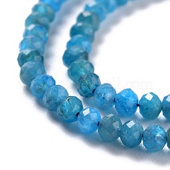 Natural Apatite Beads Strands&nbsp;X-G-K312-20B