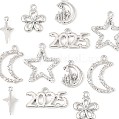12Pcs 6 Styles Alloy Pendants&nbsp;FIND-FS0003-38P