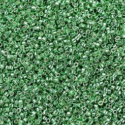 MIYUKI Delica Beads&nbsp;SEED-JP0008-DB1844