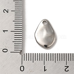 Non-Tarnish 304 Stainless Steel Charms&nbsp;STAS-L022-317P
