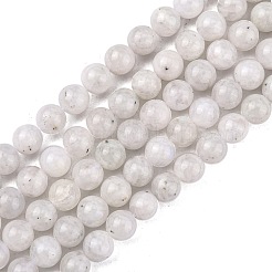 Natural Rainbow Moonstone Beads Strands&nbsp;G-C068-6mm-1