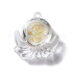 Luminous Transparent Resin Pendants&nbsp;RESI-D057-18