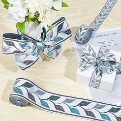 10M 2 Styles Embroidery Polyester Ribbon&nbsp;OCOR-GF0002-67A