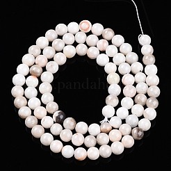 Natural Persian Jade Beads Strands&nbsp;G-A255-A02-04K