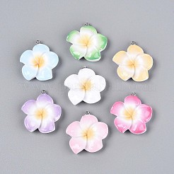 Opaque Resin Pendants&nbsp;RESI-T059-05M