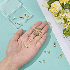12Pcs Brass Charms&nbsp;ZIRC-BC00001-27G