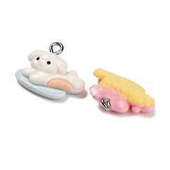 Opaque Resin Pendants&nbsp;RESI-B047-04