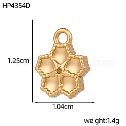 304 Stainless Steel Charms&nbsp;SA-OY001-44G