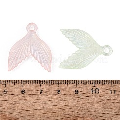 Transparent Plastic Pendants&nbsp;KY-N025-61