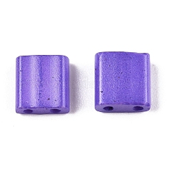 2-Hole Baking Paint Glass Seed Beads&nbsp;SEED-S023-17C-24