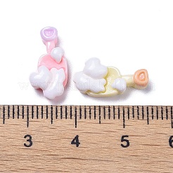 Opaque Cute Resin Decoden Cabochons&nbsp;RESI-B024-03D