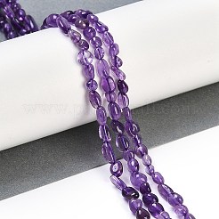 Natural Amethyst Beads Strands&nbsp;G-P497-01B-19