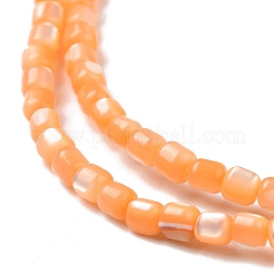 Natural Trochus Shell Beads Strands&nbsp;SSHEL-H070-02D