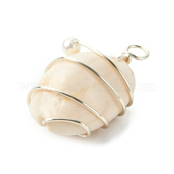 Natural Cowrie Shell Copper Wire Wrapped Pendants&nbsp;PALLOY-TA00196-02