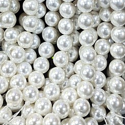 Shell Pearl Beads Strands&nbsp;BSHE-E008-8mm-12