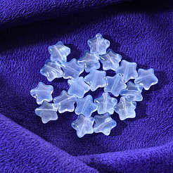 20Pcs Transparent Glass Beads&nbsp;GLAA-YW0001-08