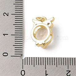 Rack Plating Brass Micro Pave Clear Cubic Zirconia Charms&nbsp;KK-B092-27G