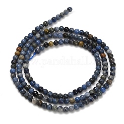 Natural Dumortierite Beads Strands&nbsp;G-Z116-A26-2mm