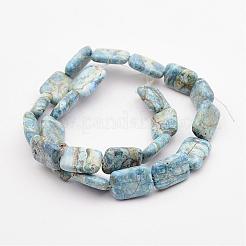 Natural Variscite Bead Strands&nbsp;G-P300-22-13x18mm