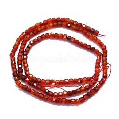 Natural Red Agate Beads Strands&nbsp;G-P457-B01-25
