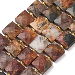 Natural Polychrome Jasper/Picasso Stone/Picasso Jasper Beads Strands&nbsp;G-F839-A30-01
