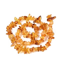 Natural Amber Beads Strands&nbsp;G-N371-13A-01