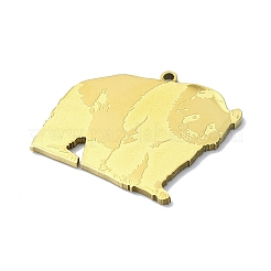 201 Stainless Steel Pendants&nbsp;LS-STAS-R118-15G