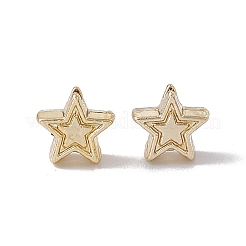 Alloy Beads&nbsp;FIND-B013-09LG