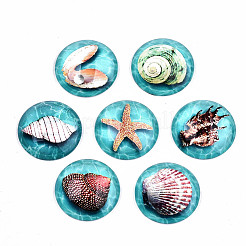 Glass Cabochons&nbsp;GGLA-S036-19A