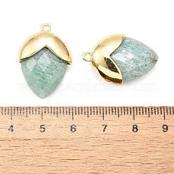 Natural Amazonite Pendants&nbsp;G-U019-03B-06