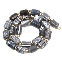 Natural Botswana Agate Beads Strands&nbsp;G-P611-A01-01