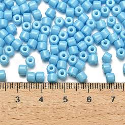 Baking Paint Pearlized Glass Seed Beads&nbsp;SEED-C001-04A-08