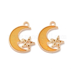 Alloy Enamel Pendants&nbsp;ENAM-S121-061-G