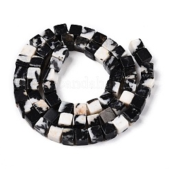 Natural Zebra Jasper Beads Strands&nbsp;G-T139-6x6-15A