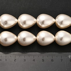 Electroplate Shell Pearl Beads Strands&nbsp;BSHE-G010-16x20mm-01