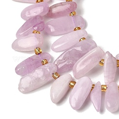 Natural Kunzite Beads Strands&nbsp;G-P604-A26-01