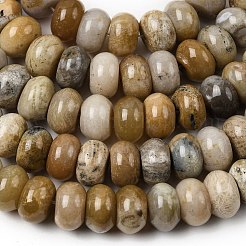 Natural Fossil Coral Beads Strands&nbsp;G-A280-A08-03