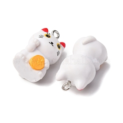 Resin Pendants&nbsp;FIND-Z084-04P-02