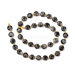 Natural Larvikite Beads Strands&nbsp;G-C116-A30-02