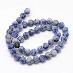 Natural Blue Spot Jasper Round Bead Strands&nbsp;G-D679-6mm
