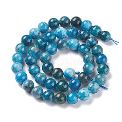 Natural Apatite Beads Strands&nbsp;G-F617-01-8mm