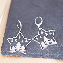 201 Stainless Steel Leverback Earrings&nbsp;FS-WGCA6C3-01