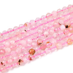 Natural Cherry Blossom Agate Beads Strands&nbsp;G-T143-10