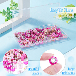 100Pcs 10 Styles Resin European Beads&nbsp;RPDL-TA0001-14