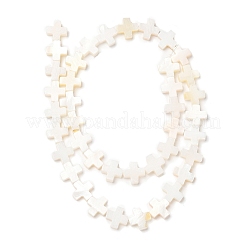 Natural Freshwater Shell Beads Strands&nbsp;SHEL-F007-02