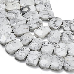 Natural Howlite Beads Strands&nbsp;G-C285-A10-01
