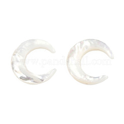 Natural White Shell Connector Charms&nbsp;SSHEL-N034-159