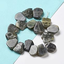 Natural Labradorite Beads Strands&nbsp;G-P528-K10-01